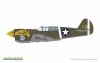 Eduard 82241 P-40E Warhawk 1/48